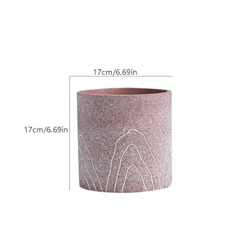 Pots de fleurs décoratifs pour balcon et salon lumineux