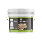 Birch & Meadow 1 Gallon of Spelt Berries, Dehulled, Non-GMO, Non-Irradiated