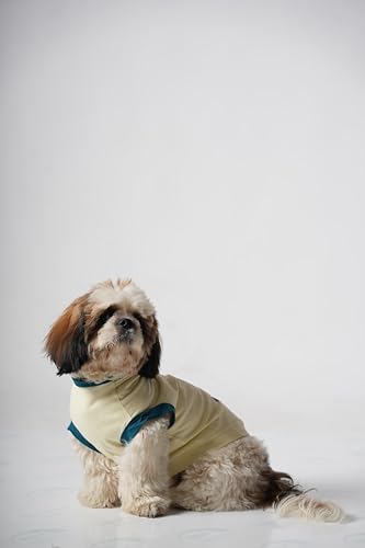Image of Thunder Tails Premium Cotton Dog T-Shirt | Adjustable Neck | for Small Dogs | Butter Yellow | Large | for Small Dogs Like Shih Tzu, Chihuaha, Poodle, Pug