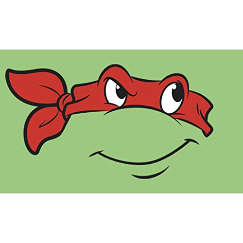 Nickelodeon Little Teenage Mutant Ninja Turtles Raph Big Face Girls Short Sleeve Tee Shirt2