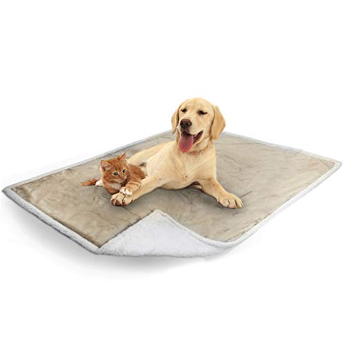 Best Chew Proof Dog Blankets