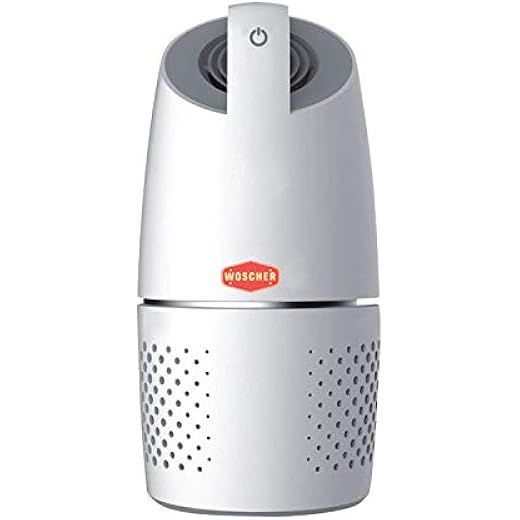 Woscher Air Purifier With True Hepa Air Purifiers Filter For