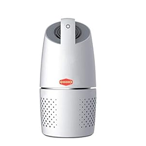 Woscher Air Purifier with True HEPA Air Purifiers Filter for Car Allergies and Pets, Smokers, Smoke, Dust, Mold, and…