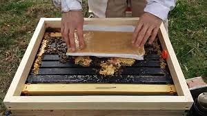 Hansen-Honey-Farm-LLC-Winter-Bee-Feed-2-Pack