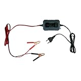 Dunlop Chargeur Goutte 6/12V 1A - Voiture avec Cycle de Charge en 6 étapes - pour Scooter et Moteur - Court-Circuit - d'entretien Plomb et Gel - Noir