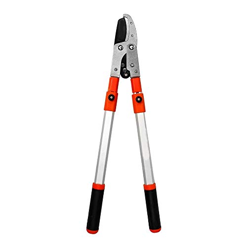Pruning Tools Telescopic Tree Ratchet Lopper Pruner Extending Garden tool Branch Shear Tools pruning shears tree cutter-China_A Telescopic