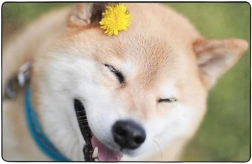  Č   O O}bg J[ybg 100 * 150 Cm J[ybgΉ ~ ` ~ߕt EHbVu I[V[YKp