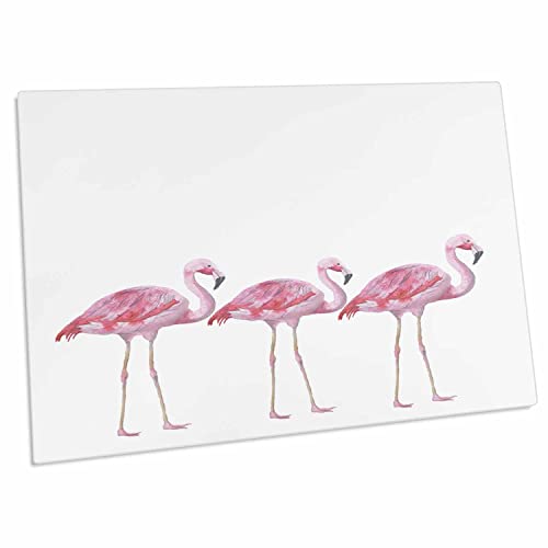 3dRose Flamingo Flamingos Bird Birds Animal Animals Wild