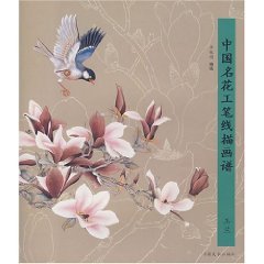 Huapu China flowers meticulous line drawing (Magnolia) (Paperback)