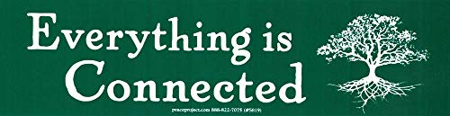 Everything is Connected - Environmental Bumper Sticker/Decal 9.5-by-2.5 Inches
