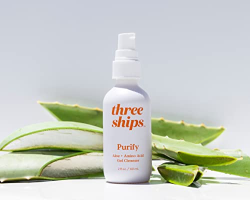 Three Ships Purify Aloe + Amino Acid Cleanser – As Seen On Tv – Natural Vegan Formula Hydrates + Soothes Skin – Gentle Cleansing Facial Wash For Normal/Dry Skin, 60Ml #TOP1