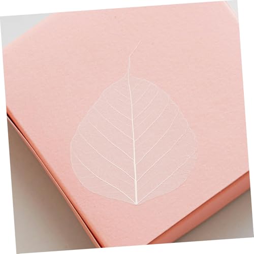 20 hojas secas esqueleto para manualidades y scrapbooking miniatura 6