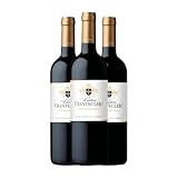 Château Chanteclerc Montagne Saint-Émilion 30 Años 75 cl Vino tinto (Caja de 3 Botellas de 75 cl)