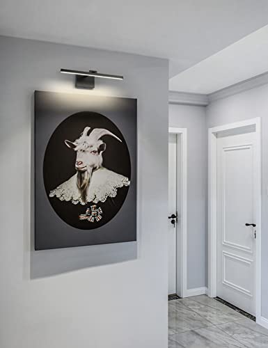 Joosenhouse Led Picture Light Fixtures Dimmable 19.69" Inches Modern Black Full Metal Artwork Display Lamp With Single Arm Adjustable Picture Frame Lights For Paintings 12W Hardwired Connection 4000K #TOP6