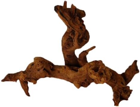 Tronco Pequeno Para Aquario Raiz Decorativa Natural Peixes | Fres...