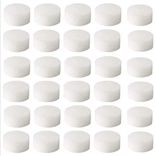 HXHLYH (60 PPI) Éponge de filtre à air, 30 pièces de rechange pour système de compresseur Accessoires de filtre à brume froide Accessoires Filtre à air éponge