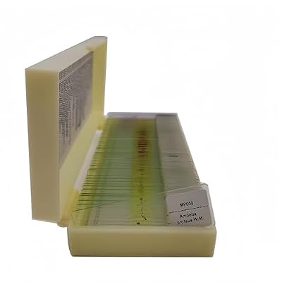 Student Medical parasitology Slides 50 Kinds Microscope Prepared Parasitology Slides