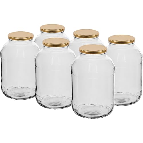lilawelt24 6er Set Einmachgläser 2L mit Twist-Off-Deckeln Vorratsgläser Gurkenglas Einmachglas Einmachgläser Glasballon Vorratsglas Einweckgläser konservierung Konservengläser