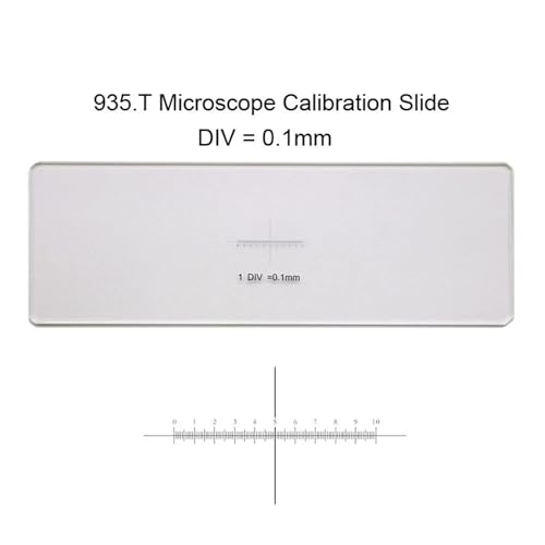Calibrage croisé 0.1mm pour microscope précis et oculaire micromètre