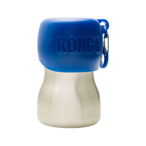 KONG H2O KG95BLU Stainless Edelstahl Wasserflasche, 0.28 L, S, blau