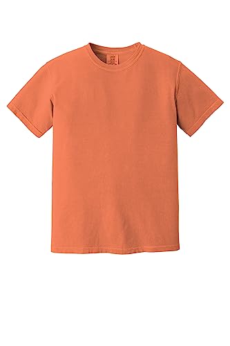 Image of Comfort Colors Adult Short Sleeve Tee, Style G1717