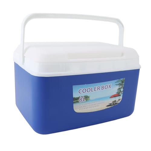 Mini nevera rígida de 8L contra el calor para conservar alimentos en tus viajes