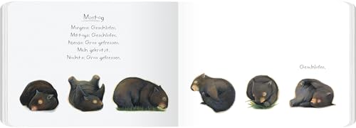 Tagebuch eines Wombat: Pappbilderbuch