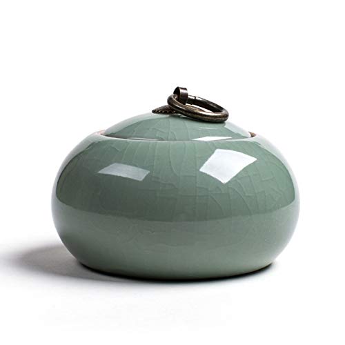 ybgp⍜A 蓩퐻ybgΑكAz[D蓩LOiVَnpL(A)