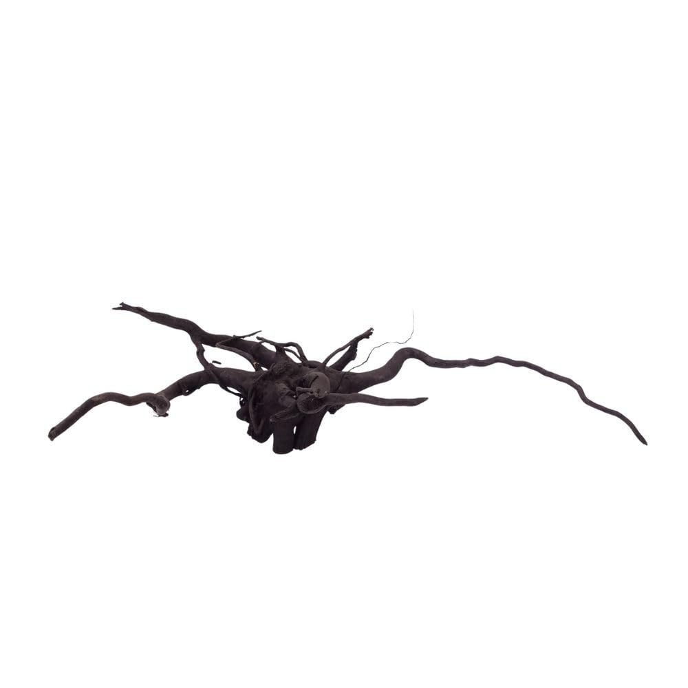AquaOne XL Black Spider Wurzel Nr.2660 Aquarium Wurzel Holz Deko Aquascaping Dekoration Landschaft Moorkien Moorwood Redwood Mangrove Moos Natur Echtholz