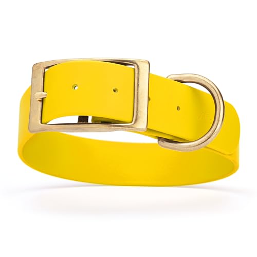 Image of Viper Biothane Heavy Duty Waterproof Dog Collar Strong Coated Nylon Webbing w /Solid Brass Hardware Odor-Proof Easy to Clean High Performance Fits Small Medium or Large Dogs, Lemon Yellow