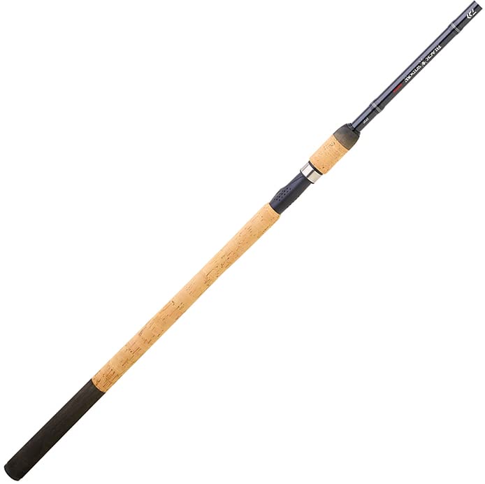 Daiwa Canne Anglaise Black Widow Match 420 Th - 4.2m - 260g - P.10-30g - Enc.110cm - BWM420THBF