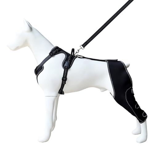 Image of Adjustable Dog Knee Brace with Leash, Hind Leg Support for Joint Pain, ACL Injury Recovery, Anti-Lick Wrap Harness Set