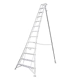 アルステップ AP-13