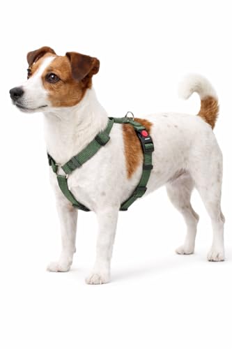 Cane Pettorina H-Forma Ziggi Kaki S 35-50cm 40-50cm 15mm