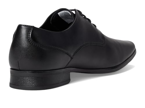 Image of Calvin Klein Brodie