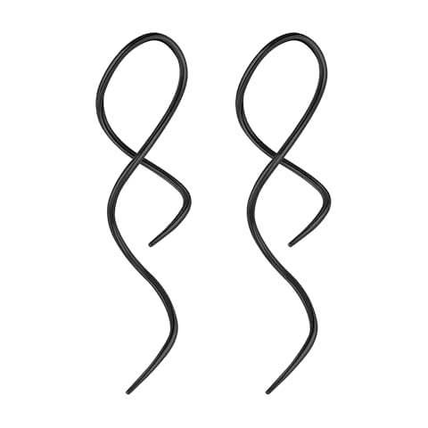 ZS Stainless Steel Spiral Twist Earrings Cover