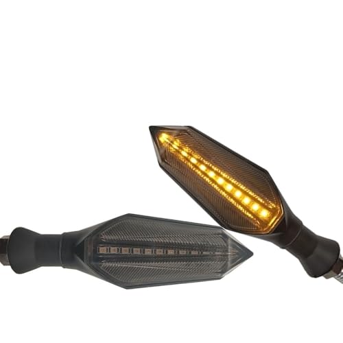 Clignotant LED moto avec signal stop puissant pour DRZ400SM et XMAX