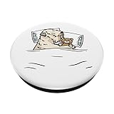 Zoom IMG-1 irish soft coated wheaten terrier Zoom IMG-1 irish soft coated wheaten terrier