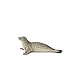 SCHLEICH WILD Life | Seehund 14801 | detailgetreue Tierfiguren | Zoo Spielzeug Jungen und Mädchen | Deko für Geburtstag | Spielfigur ab 3 Jahren | 11 x 7 x 4 cm