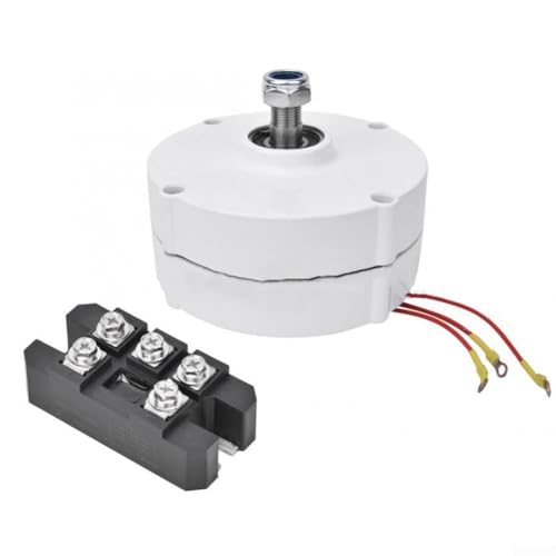 Zilimontt Generatore di corrente alternata a magneti permanenti a bassa velocità da 200 W con cambio trifase per turbina eolica e acqua con uscita di tensione 12V/24V/48V (200W 48V)