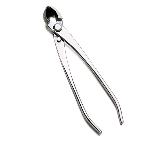 The 30 Best Bonsai Cutters of 2024 [Verified] Cherry Picks