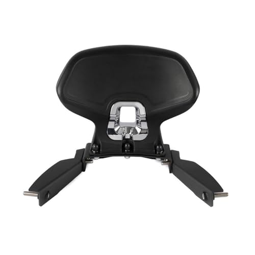 Siège confortable pour Forza 350 et ADV350 dossier passager de voyage