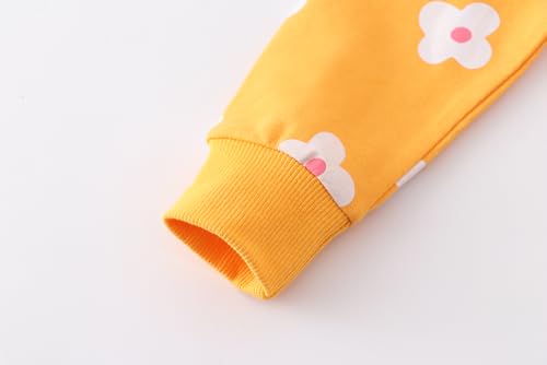Image of AIWUHE Toddler Cotton Sweatshirt Boys Girls Pullover Long Sleeve Tops 2-6Y