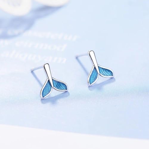 X71 sAX fB[X u nCAWG[