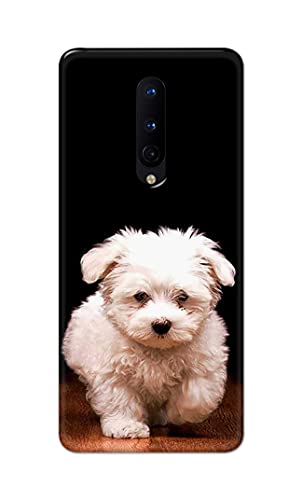 Image of PRINTFIDAA� Printed Hard Back Cover Case for OnePlus 8 Back Cover (Puppy Dog) -2808