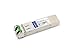 AddOn SFP+ Module