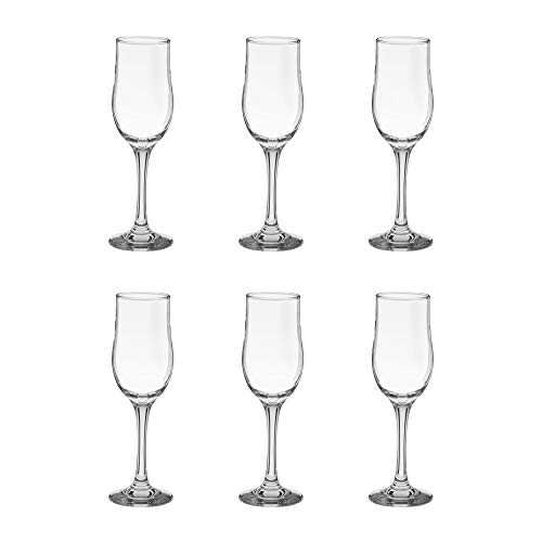 Image of Treo By Milton Odyssey Champagne Glass Set of 6, 210 ml