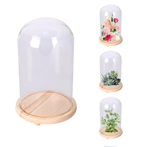 Campana de cristal decorativa con base de madera, 12 cm x 18 cm, cúpula de cristal transparente, caja de cristal transparente, pantalla semicircular, vitrina decorativa para joyas de mesa, plantas,