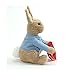 GUND Beatrix Potter Animated Peek-a-Boo Peter Rabbit Sound and Motion Plush Stuffed Animal, 10