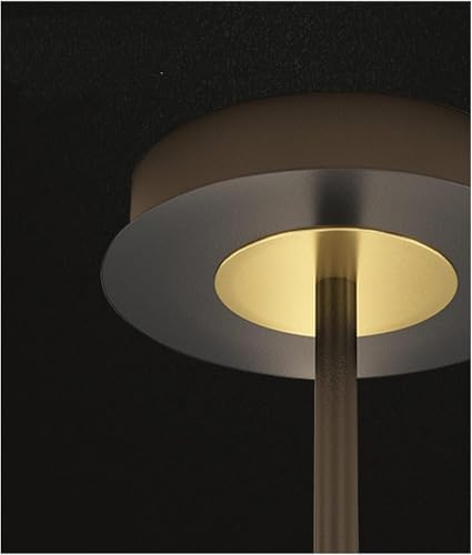 Pendant lighting ceiling de diseño dorado para crear un loft sofisticado 2